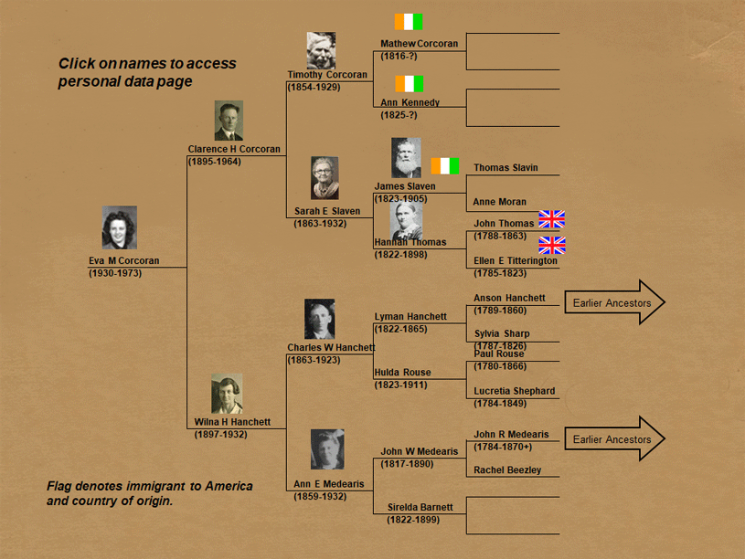 Eva Corcoran Family Tree