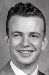 David J McGee